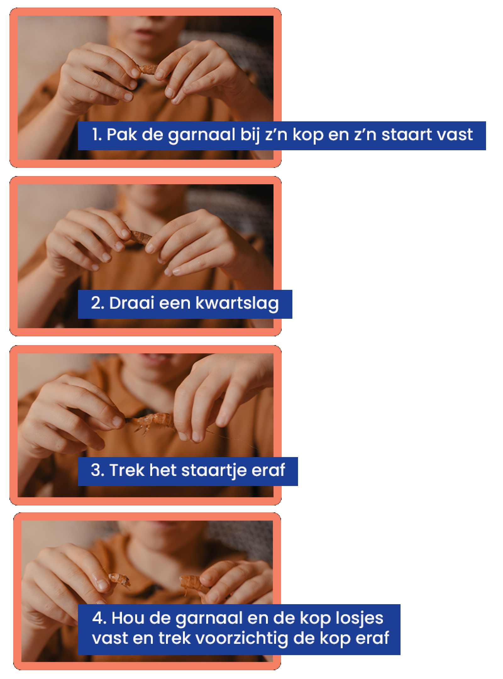 Pel instructies garnalen